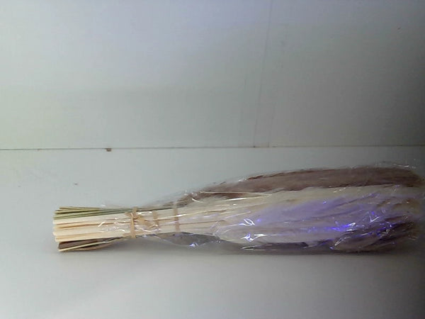 Floral Decor 125 Pcs Dried Pampas Grass Color Beige Size No Size