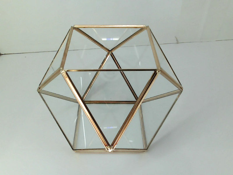 Geometric Glass Terrarium for Home and Office Decor