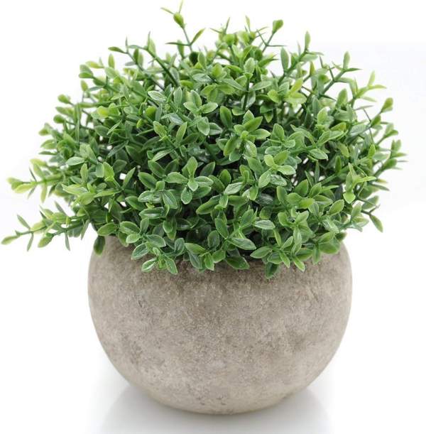 Velener Artificial Plant Color Green Size Small