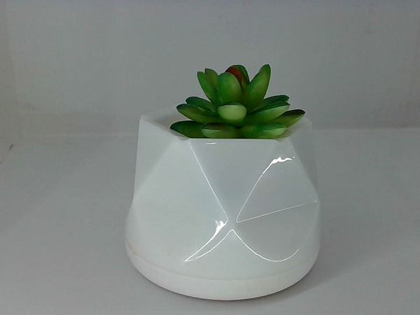 Palomino Lotus Aroma Diffuser Color Green Size 5ml