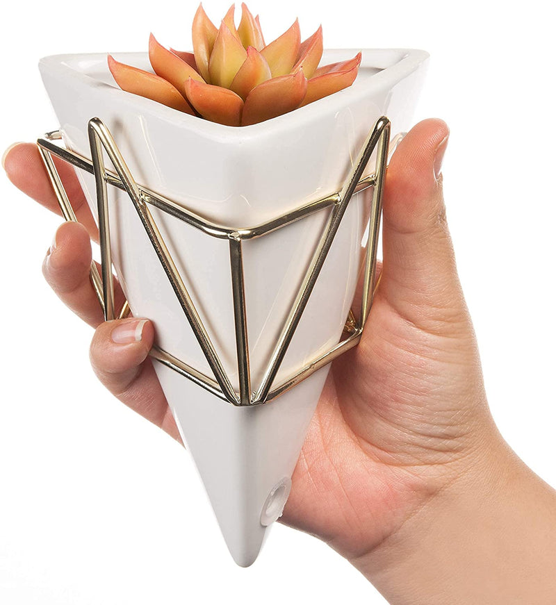 Amar Wall Plant Holder - Geometric Wall Decor Ideal for Succulent Plants 6" White