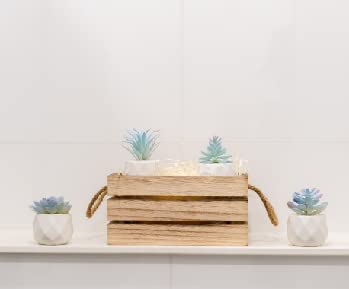 Viverie Mini Blue Artificial Succulent in Pots Office Decor Blue Plant Bathroom