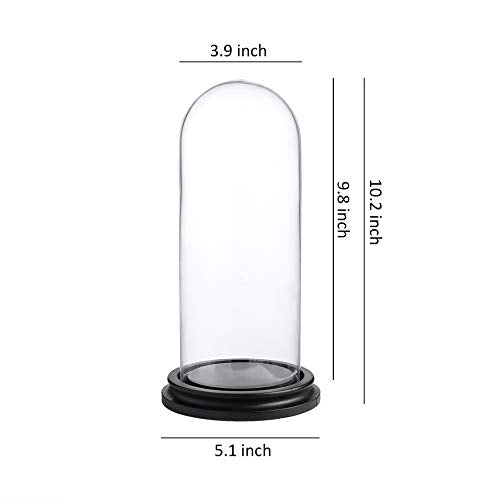 WHOLE HOUSEWARES Decorative Clear Glass Dome/Tabletop Centerpiece Cloche Bell Jar Display Case with Black MDF Base, 4" D X 10" H