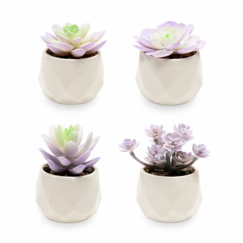 Viverie Artificial Purple Cactus Plant in White Ceramic Pots Centerpiece