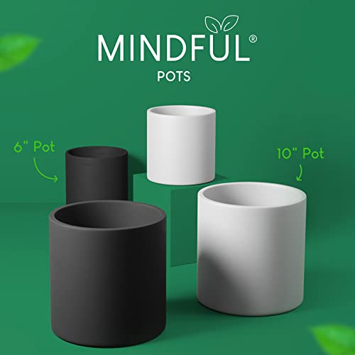 Mindful Pots Planter Pot for House 10 inch Large Matte White