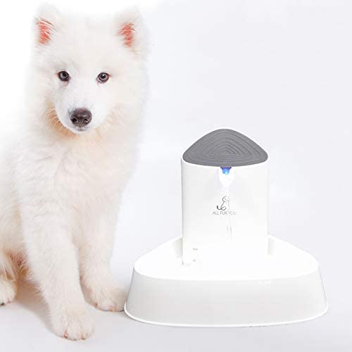All Fur You Automatic Pet Water Fountain 51oz/1.5L Cat/ Dog Bowl
