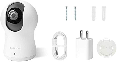 Blurams Dome Pro 1080p Security Camera Facial Recognition Human/sound Detection