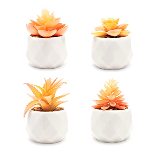 Viverie Artificial Succulent Plants in White Ceramic Pots for Desk, Office, Living Room, and Home Decoration - Faux Plant Included (Set of 4 - Orange)