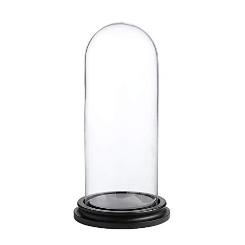 WHOLE HOUSEWARES Decorative Clear Glass Dome/Tabletop Centerpiece Cloche Bell Jar Display Case with Black MDF Base, 4" D X 10" H