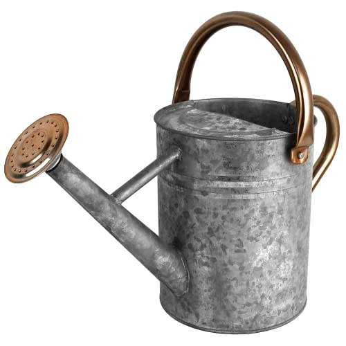 Homarden 1 Gallon Watering Can Metal With Removable Spout Silver