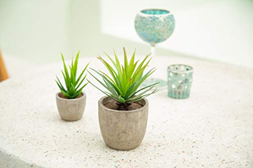 Velener Mini Home Decoration Aloe Vera Artificial Plants with Paper