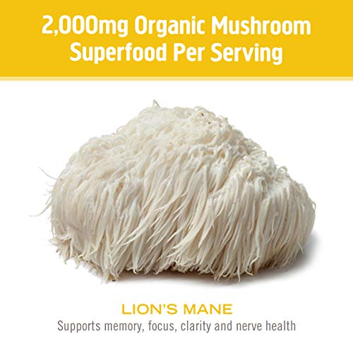 Om Mushroom Superfood Lion's Mane Organic Mushroom Powder 3.5 Oz Mood