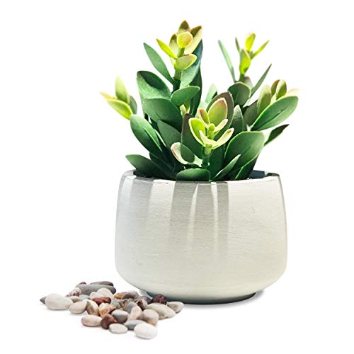 Kurrajong Farmhouse Faux Succulent in Pot Faux Plants Decor 7 x 4.5