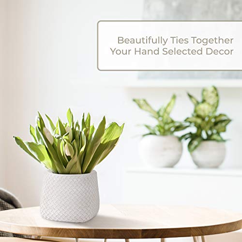 INSPIRELLA Timeless Modern Indoor Flower Pot – 5.1” Stunningly Detailed, Colorful Hand Glazed Cement Plant Pots for Indoor Outdoor Planting, Leak Proof Planter for Succulents and Flowers