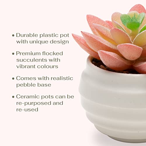 VIVERIE 4Pcs Pink Green Artificial Succulents in Pots (Plastic)- Small Artificial Plants for Office Shelf, Cubicle, Dorm, Table Centerpiece, Cute, Guest Room Decor, Desk Plants, Plant Lover Gifts