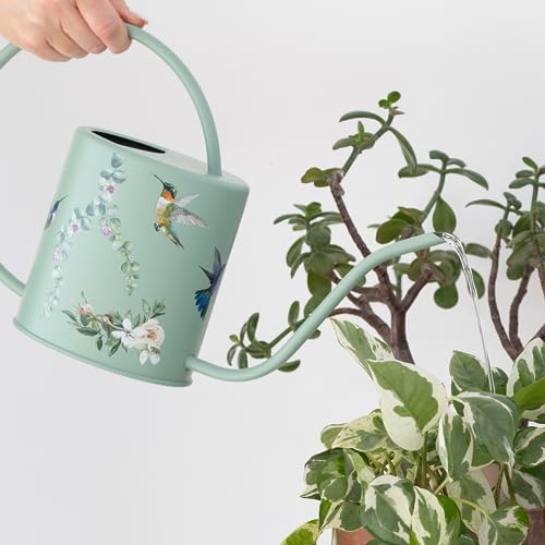 Watering Can for Indoor Plants House1.5l 51floz 0.4 Gallon Hummingbird Sage