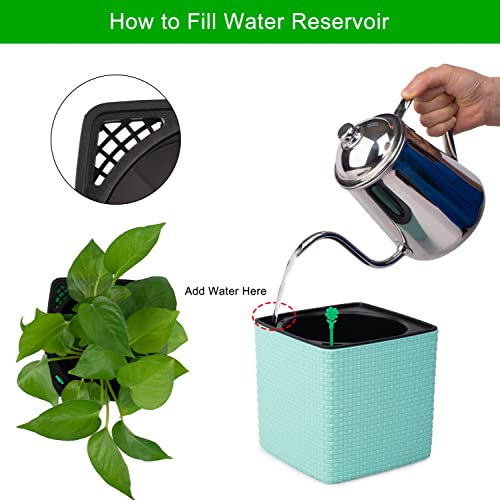 Self Watering Pot for Plants 5.5 Inch Four Leaf Clover Water Level Indicator