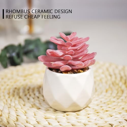 Viverie Mini Succulents Plants Artificial Pots Rose Pink Small White Ceramic Set of 4
