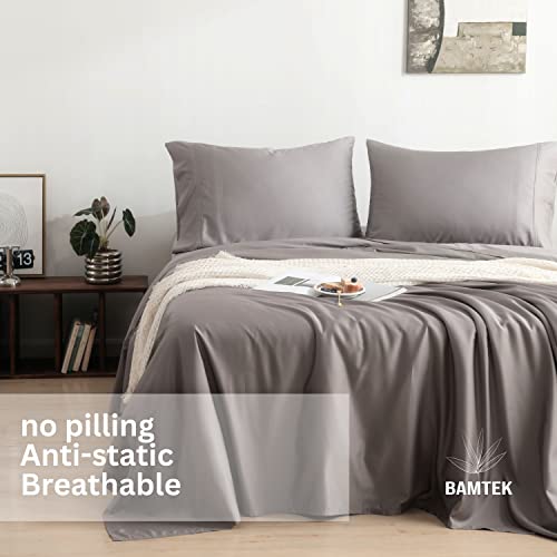 Bamtek 100% Viscose from Bamboo Sheets Queen Size Bed Silver