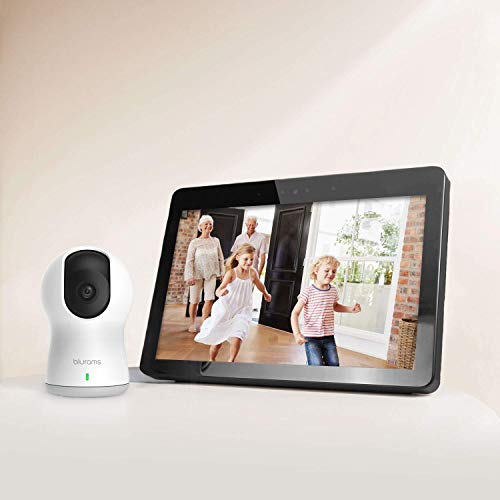 Blurams Dome Pro 1080p Security Camera Facial Recognition Human/sound Detection