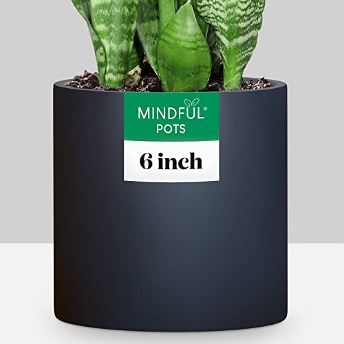 MINDFUL POTS 6 inch Plant Pot, Large Black Planter for Indoor or Outdoor House Plants Matte Black, 6"