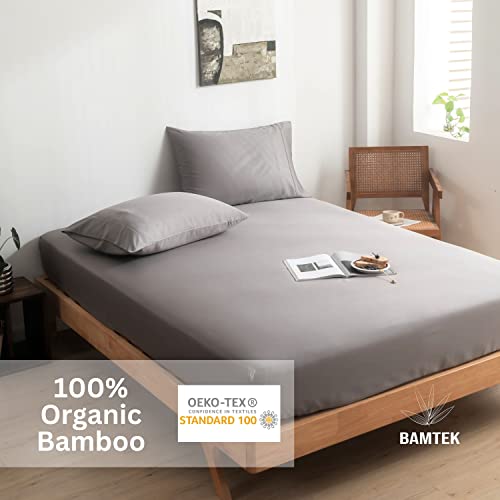 Bamtek 100% Viscose from Bamboo Sheets Queen Sheets Stone