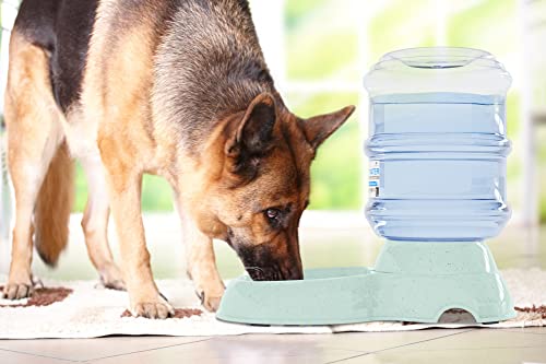 Noa Store Automatic Pet Water Dispenser 1 Gallon BPA Free Cat Food Dog Feeder