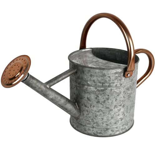 Homarden Half Gallon Silver Watering Can - Metal Watering Can with Removable Spout, Perfect Plant Watering Can for Indoor and Outdoor Plants (House Plants) - Ideal Gift & Decoration