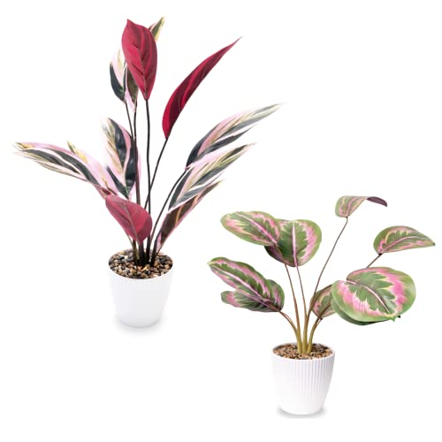 VIVERIE 2 Packs Pink Purple Fake Potted Plants for Home Décor - 15" & 20" Artificial Faux Calathea for Office Desk Room Décor