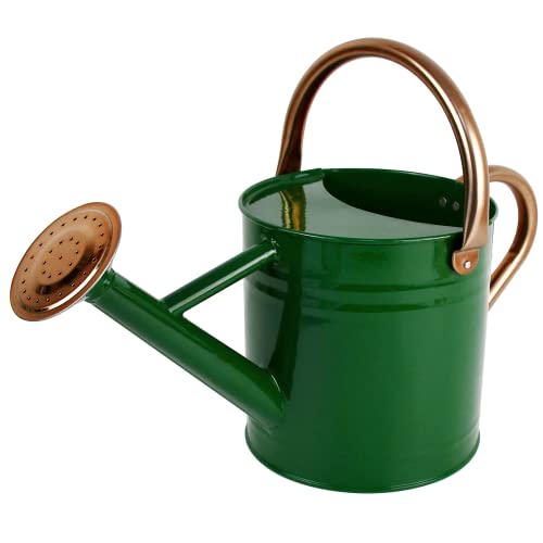 Homarden Half Gallon Green Watering Can - Metal Watering Can with Removable Spout, Perfect Plant Watering Can for Indoor and Outdoor Plants (House Plants) - Ideal Gift & Decoration
