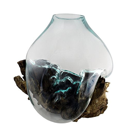 Cohasset Gift & Garden Glass & Wood Sculpture Transparent Terrarium Jar