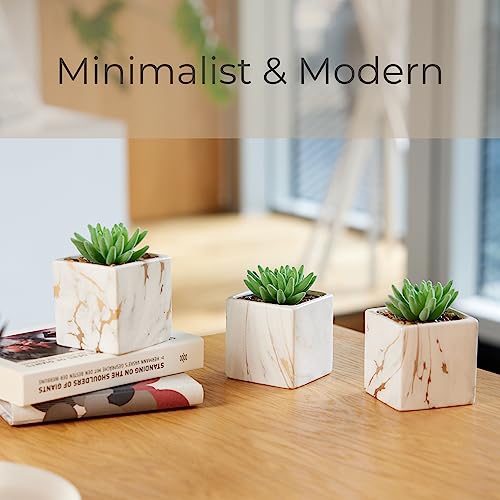 Nordik Square Marble Pots with Gold Vein Accents - Set of 3 - Modern Office and Home Decor - Lifelike Faux Plants - Artificial Desk Plants for Office and Bathroom - Mini Indoor Cactus