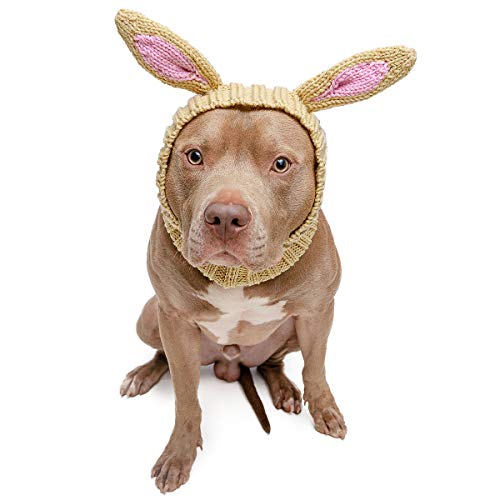 Zoo Snoods Jack Rabbit Dog Costume Medium- No Flap Ear Wrap Hood for Pets