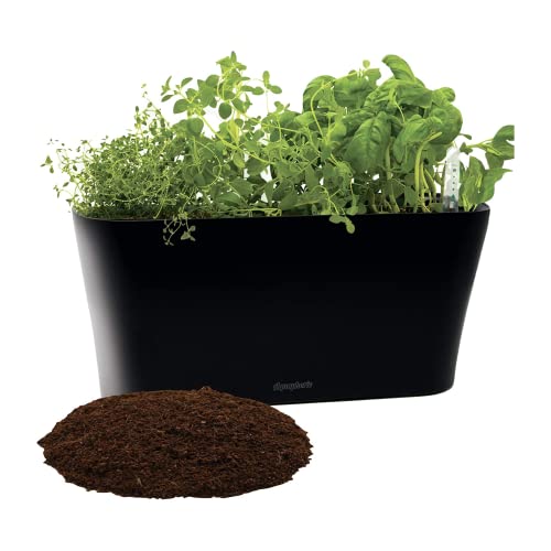 Window Garden Aquaphoric Herb Garden Tub Self Watering Planter Plus Fiber Soil