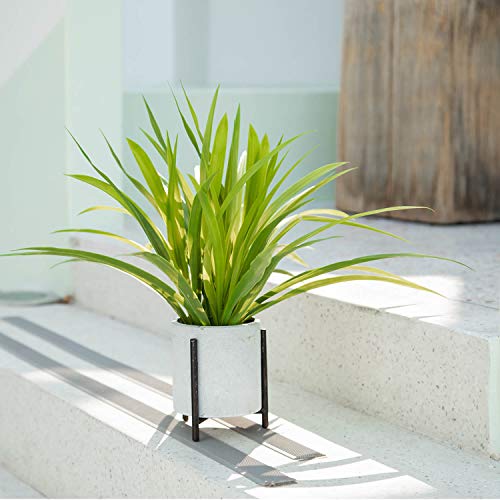 Velener 15" Potted Spider Plant in Artificial Plant Stand- Fake Plants for Indoors Outdoor Patio Decor Modern House Accessories for Home Office, Zen Garden Green Bathroom Kitchen Table Living Room