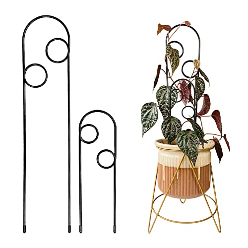 Metal Plant Support Stake for Indoor Climbing Plants, Pothos, Monstera, Philodendron and Vines, Plant Decor Accessories - Size: 17.75" x 3.75" & 10" x 3" (Whirl, Black)