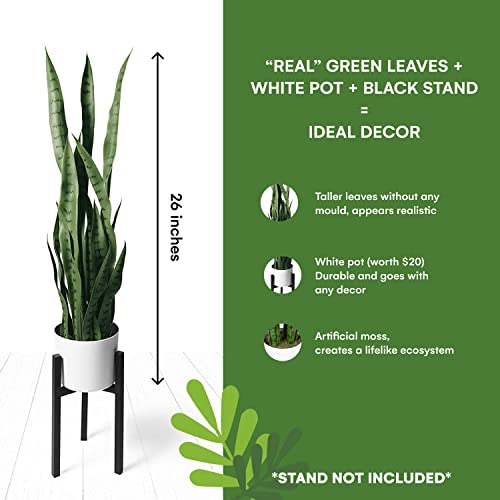 Flybold Faux Snake Artificial Plant Large 28 Inch Tall Leaves Modern Decor Green