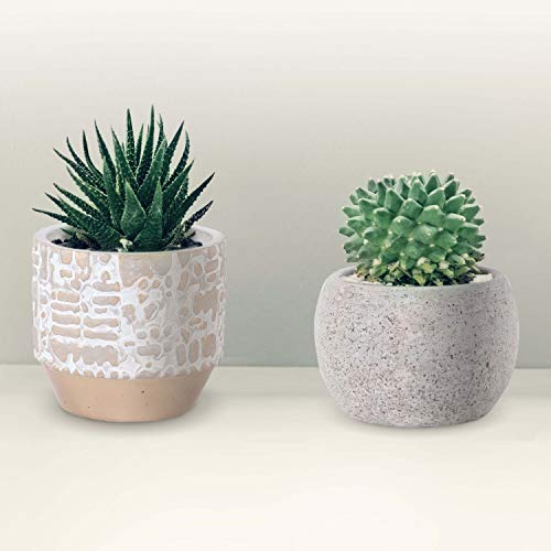 INSPIRELLA Timeless Modern Indoor Flower Pot – 5.4”
