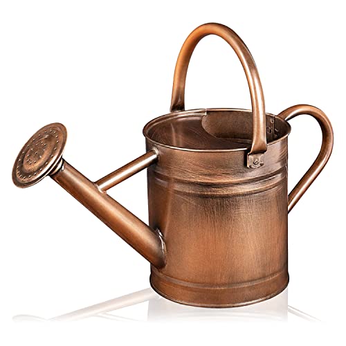 Homarden 81 oz. Copper Watering Can - Metal Watering Can with Removable Spout, Perfect Galvanized Watering Can for Indoor and Outdoor Plants (House Plants) - Flower Watering Can Gift & Decoration