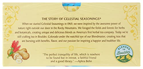 Celestial Seasonings Ginger & Probiotics Herbal Tea 20 CT