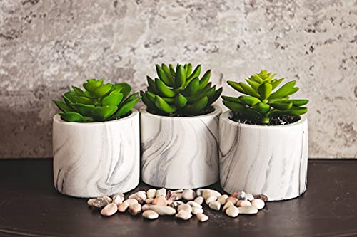 Kurrajong Farmhouse Set of 3 Artificial Succulent Plants in pots