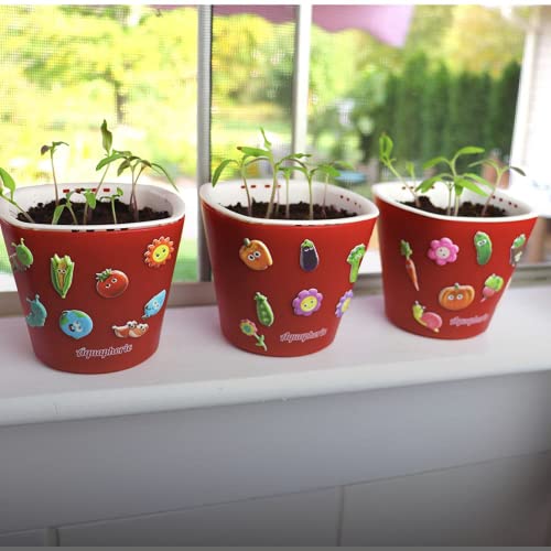 Window Garden Sow Much Fun Starting Flower Planting and Growing Kit for Kids