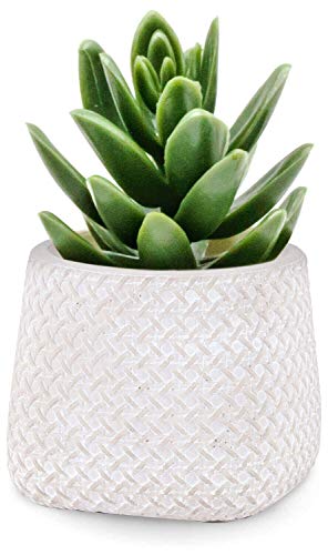 INSPIRELLA Timeless Modern Indoor Flower Pot – 5.1” Stunningly Detailed, Colorful Hand Glazed Cement Plant Pots for Indoor Outdoor Planting, Leak Proof Planter for Succulents and Flowers