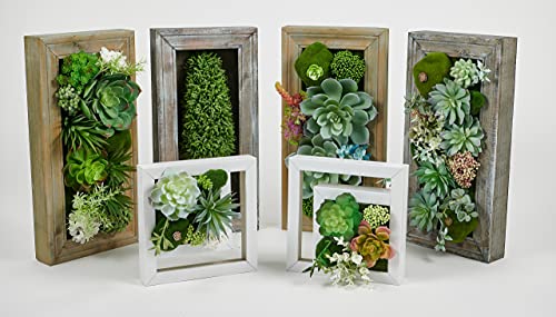 Room & Bloom Artificial Succulent Wall Art Flower Decor Kitchen 10" x 10"