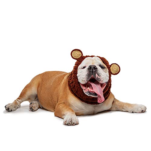 Zoo Snoods Grizzly Bear Dog Costume for Pets