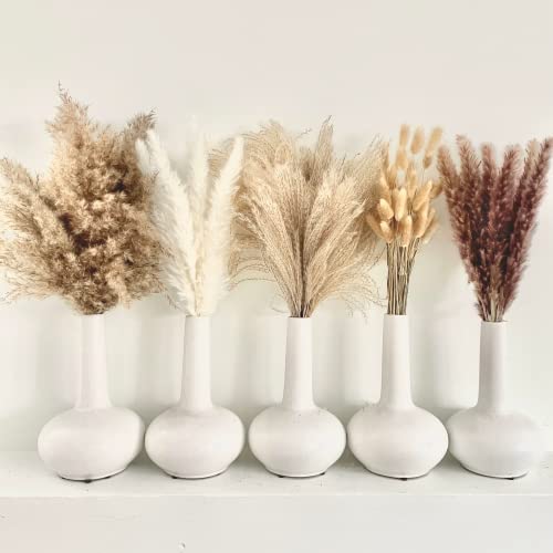 Floral DécorOakoa 125 Pcs Dried Pampas Grass Bulk Dried