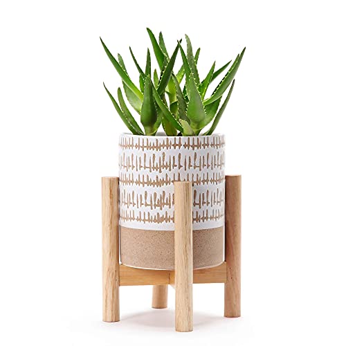 Kurrajong Farmhouse Cute Set of 3 Indoor pots - Small Planter pots with Two Planter Stands - Two pots are 5.75" high and one is 3.5" high