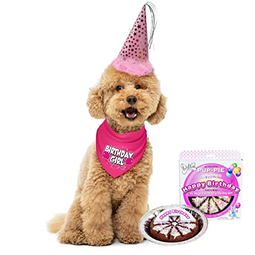 JT PET Dog Birthday Girl Party Pack Cake Bandana Party Hat Vegan Pie