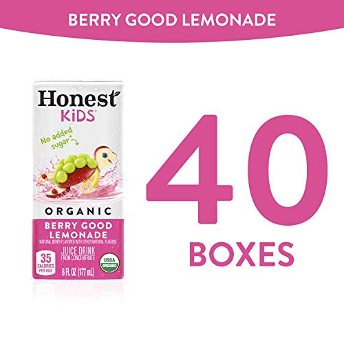 Honest Kids Berry Good Lemonade, Organic Juice Drink, 6 Fl oz Juice Boxes, Pack Of 40, Berry Lemonade, 6 Fl Oz (Pack of 40)