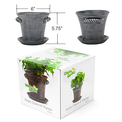 Rustic Charm 6 Ceramic Planter Indoor Decorative Pot for Herbs Flowers